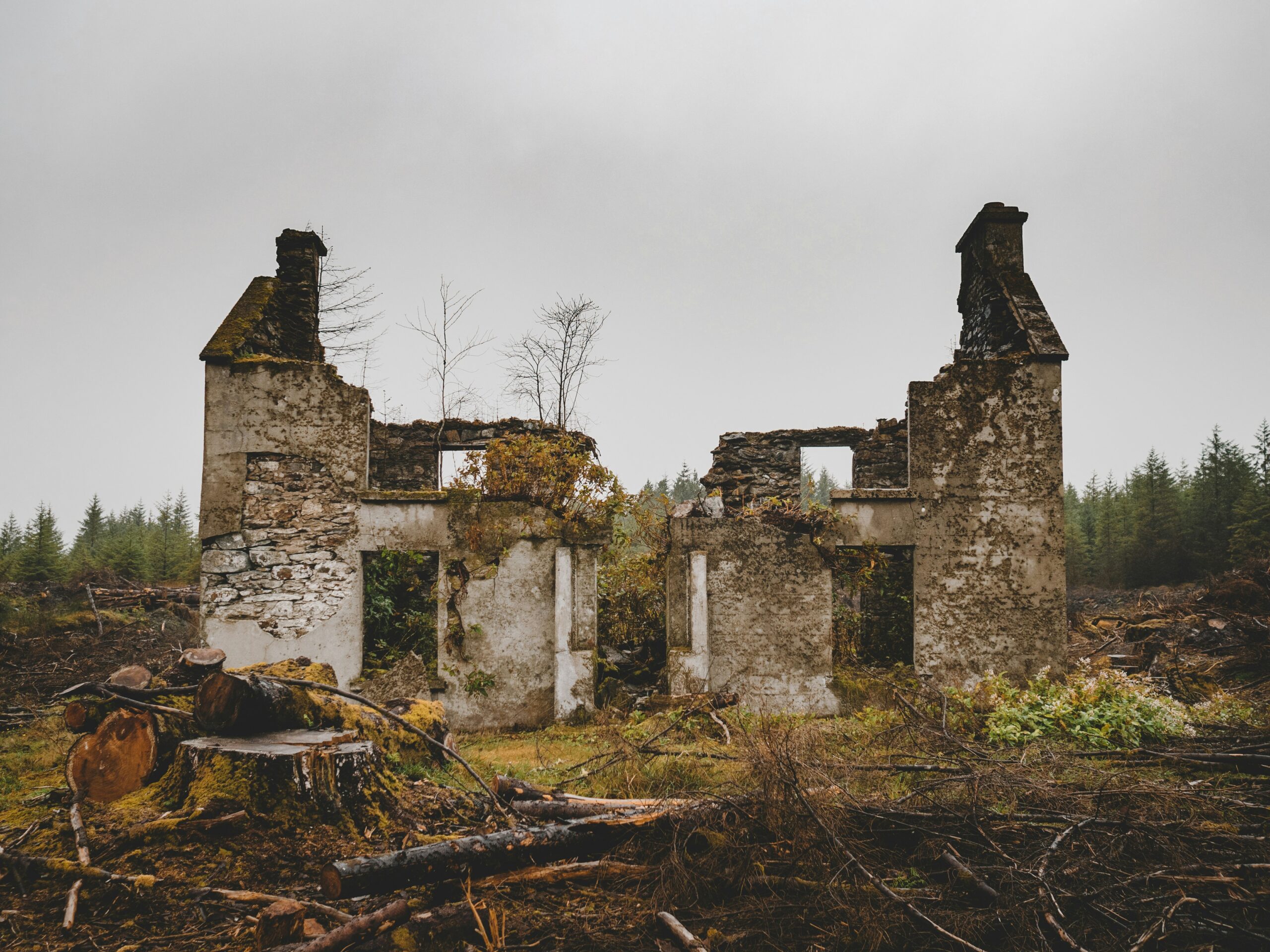 andrew ridley 4dphqvirbwo unsplash